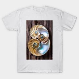 Three chambered nautilus T-Shirt